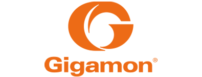 gigamon
